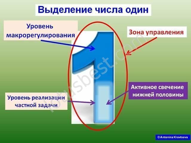 Вклад цифра 1. Выделение цифр.