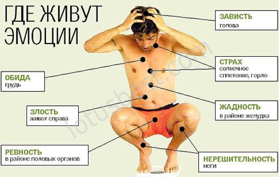 Карта где есть все эмоции