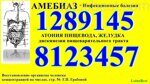 Амебиаз. Атония пищевода желудка. стр. 56. ВОЧКНЧ.